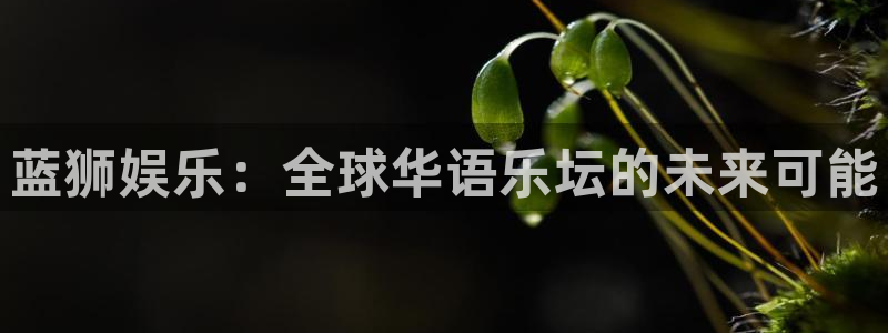 乐天堂fun2平台登录：蓝狮娱乐：全球华语乐坛的未来可能