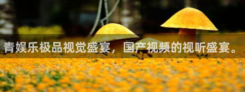 德国乐天堂fun集团：青娱乐极品视觉盛宴，国产视频的视听盛宴。