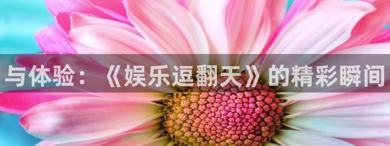 乐天堂fun环保：与体验：《娱乐逗翻天》的精彩瞬间