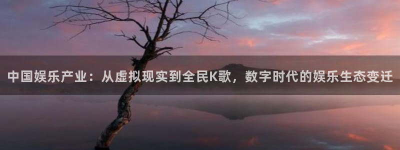乐天堂fun体育app下载：中国娱乐产业：从虚拟现实到全民K歌，数字时代的娱乐生