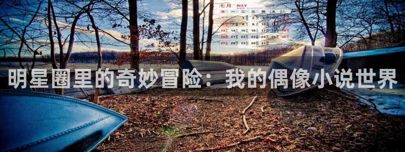 乐天堂fun体育注册代理：明星圈里的奇妙冒险：我的偶像小说世界