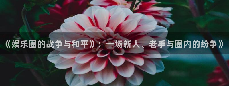 乐天堂fun2登录入口：《娱乐圈的战争与和平》：一场新人、老手与圈内的纷争》