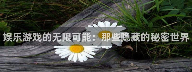 乐天堂fun体育注册平台：娱乐游戏的无限可能：那些隐藏的秘密世界