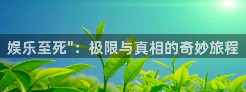 乐天堂fun体育官网入口登录：娱乐至死\