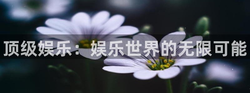 乐天堂fun4注册：顶级娱乐：娱乐世界的无限可能