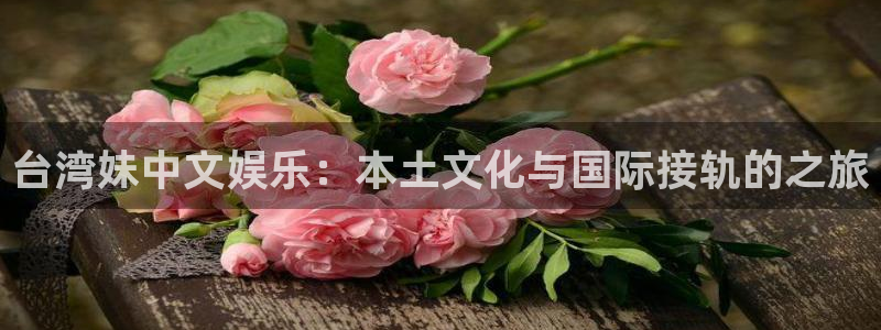乐天堂fun4官网：台湾妹中文娱乐：本土文化与国际接轨的之旅