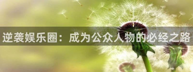 乐天堂fun体育凯捷代理注册：逆袭娱乐圈：成为公众人物的必经之路
