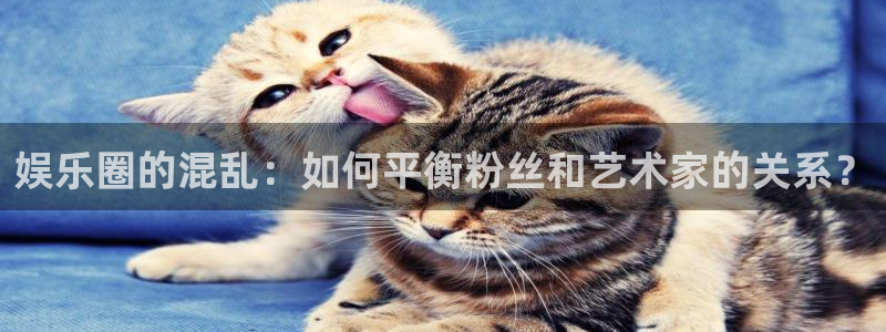 乐天堂fun2登录地址：娱乐圈的混乱：如何平衡粉丝和艺术家的关系？