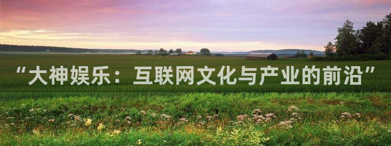 乐天堂funkgame：“大神娱乐：互联网文化与产业的前沿”